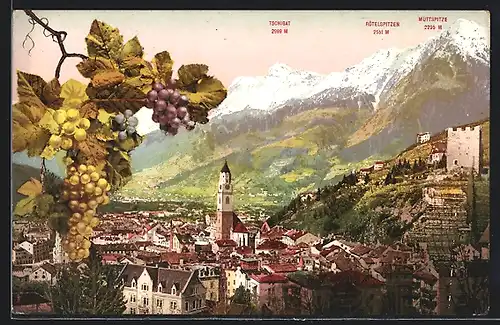AK Meran, Ortsansicht hinter Weinreben gegen Vinschgau, Tschigat, Rötelspitzen, Muttspitze