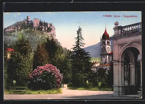 AK Arco, Wegpartie mit Vegetation