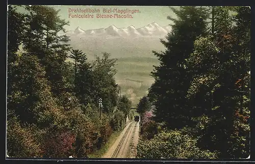 AK Biel-Magglingen, Drahtseilbahn im Wald