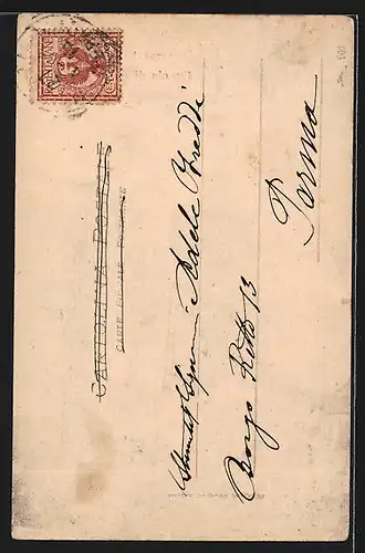 AK Novara, Cupola di S. Gaudenzio