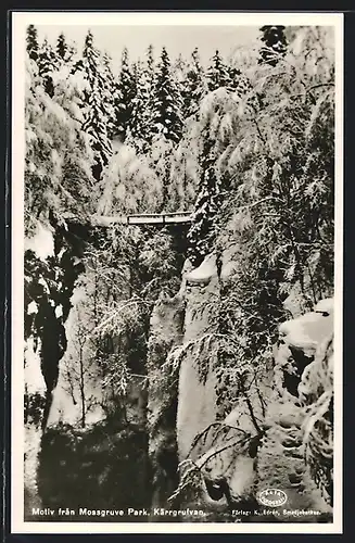 AK Kärrgrufvan, Motiv fran Mossgruve Park