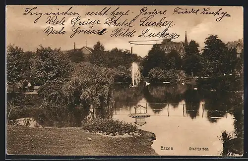 AK Essen, Uferpartie im Stadtgarten