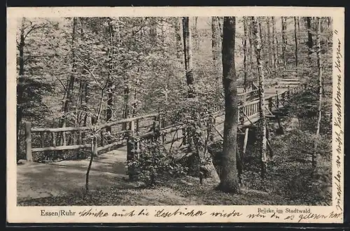 AK Essen /Ruhr, Brücke im Stadtwald