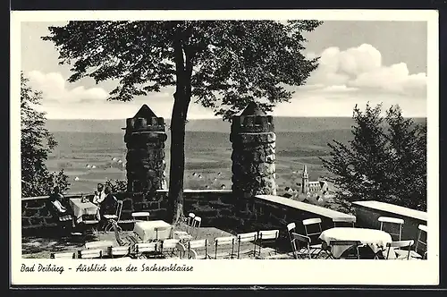 AK Bad Driburg, Ausblick vom Restaurant Sachsenklause