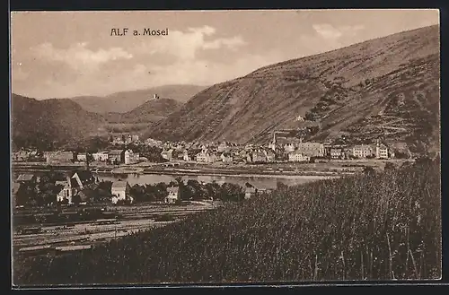 AK Alf a. Mosel, Panorama
