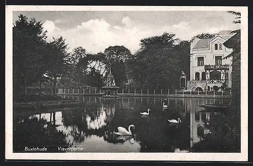 AK Buxtehude, Vieverpartie mit Schwänen