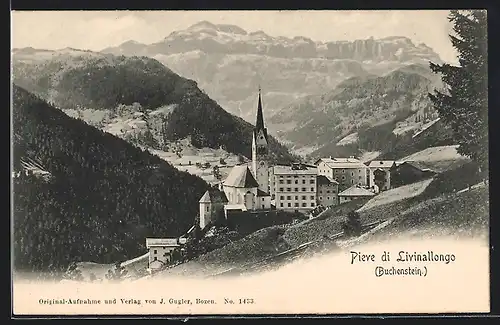 AK Pieve di Livinallongo / Buchenstein, Ortsansicht mit Alpenpanorama