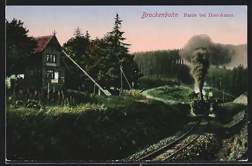 AK Drei-Annen, Brockenbahn vor Waldpanorama