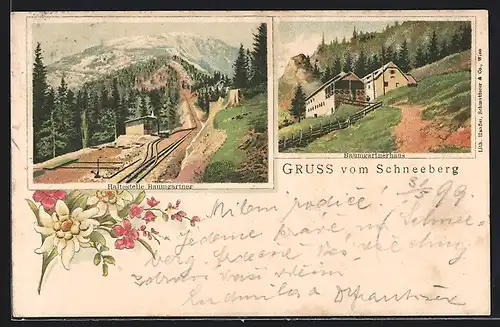 Lithographie Puchberg am Schneeberg, Haltestelle Baumgartner, Gasthaus Baumgartnerhaus