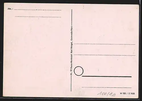 AK Gernrode /Harz, weinbewachsenes Rathaus
