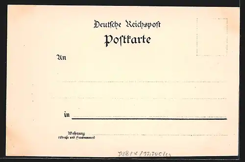 Lithographie Rolandseck, Ortsansicht aus der Vogelschau, Dampfer auf dem Rhein