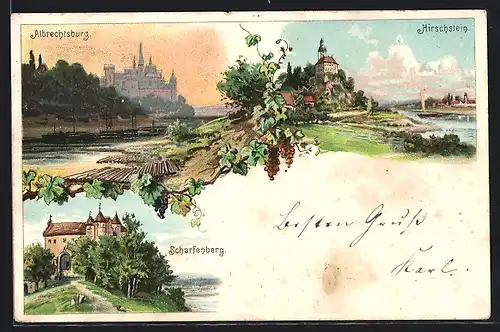 Lithographie Meissen, Albrechtsburg, Hirschstein, Scharfenberg