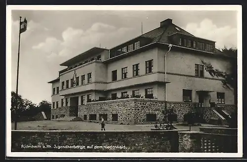 AK Rüdesheim am Rhein, Jugendherberge auf dem Niederwald