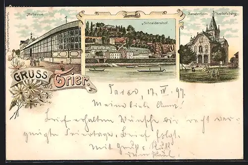 Lithographie Trier, Sanatorium Kockelsberg, Bellevue, Schneidershof