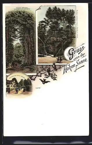 Lithographie Hohe Sonne, Gasthof zur Hohen Sonne, Durchblick zur Wartburg