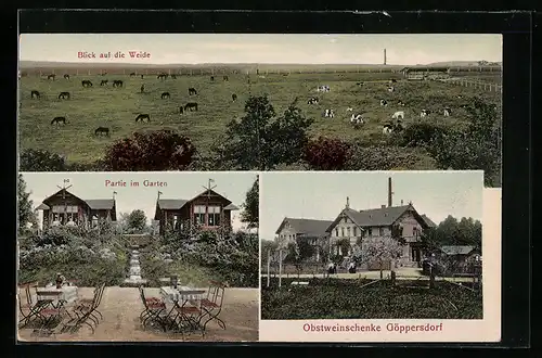 AK Göppersdorf / Burgstädt, Gasthaus Obstweinschenke, Blick auf die Weide, Partie im Garten