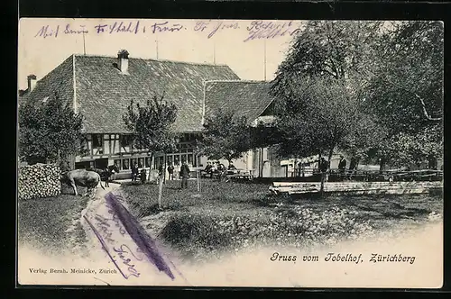 AK Zürich, Gasthaus Tobelhof auf dem Zürichberg