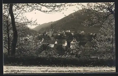 Foto-AK Bad Liebenzell, Fernblick zum Ort