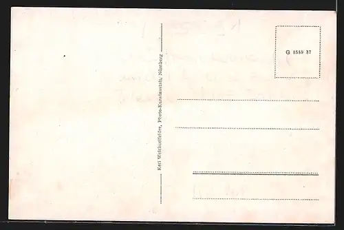 AK Hohenberg a. d. Eger, Teilansicht mit Strassenpartie, Schloss N. S. L. B. Schulungsburg, Sauerbrunnen