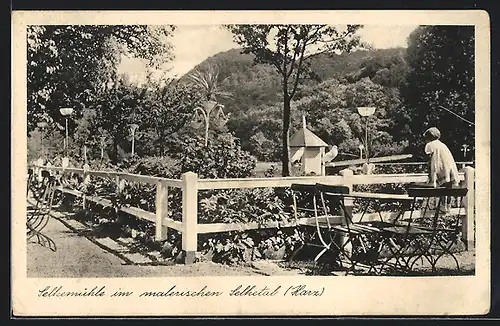 AK Mägdesprung, Selkemühle, Hotel Burg Anhalt und Pensionshaus Waldesruh, Bes. Fritz Böcker