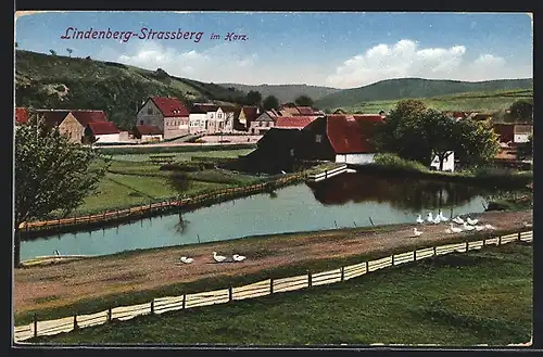 AK Lindenberg-Strassberg /Harz, Panorama mit Teich