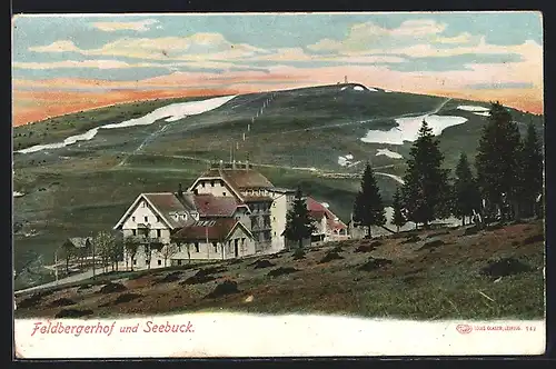 AK Feldberg / Schwarzwald, Hotel Feldbergerhof und Seebuck