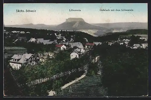 AK Gohrisch /Sächs. Schweiz, Ortsansicht mit dem Lilienstein