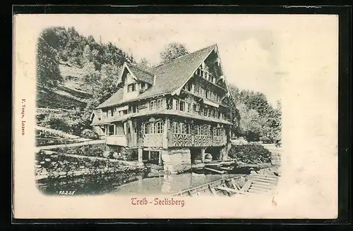 Relief-AK Seelisberg, Gasthaus zur Treib