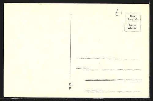 AK Finse, Panorama Bergensbanen