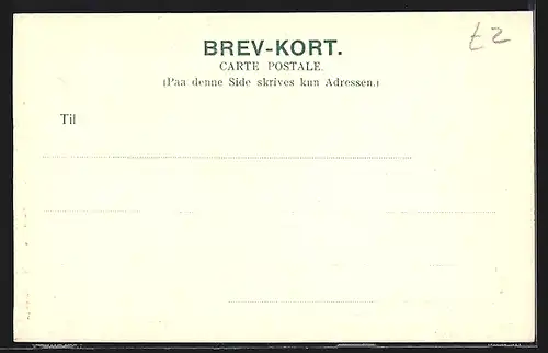 AK Sogn, Gudvangen, Naerofjord, Dampfer am Anleger