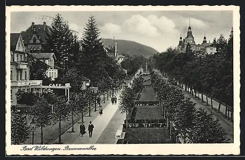 AK Bad Wildungen, Brunnenallee mit Spaziergängern