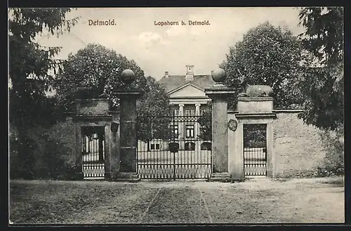 AK Detmold, Lopshorn b. Detmold