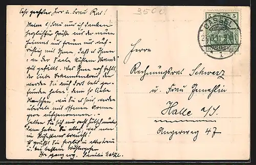 AK Cassel, Pferdebändiger-Gruppen in der Karlsaue