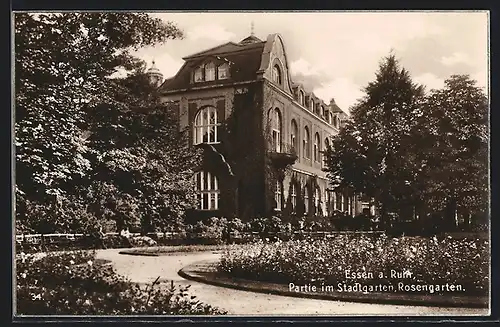 AK Essen a. Ruhr, Partie im Stadtgarten, Rosengarten