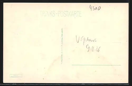 AK Essen a. Ruhr, Partie im Stadtgarten, Rosengarten