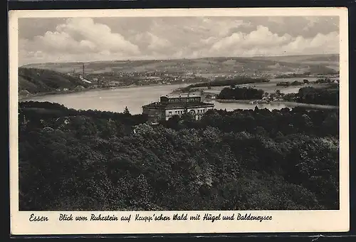 AK Essen, Blick vom Ruhrstein auf Krupp`schen Wald mit Hügel und Baldeneysee