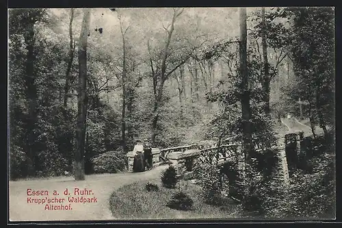 AK Essen a. d. Ruhr, Krupp`scher Waldpark Altenhof