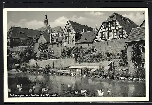 AK Bad Wimpfen am Neckar, Fachwerkhäuser am Gänseteich