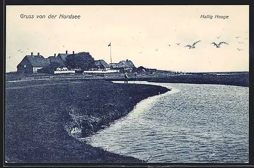 AK Hooge, alte Fischerkaten auf der Hallig