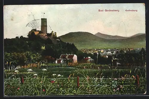 AK Bonn, Blick auf den Ortsteil Bad Godesburg