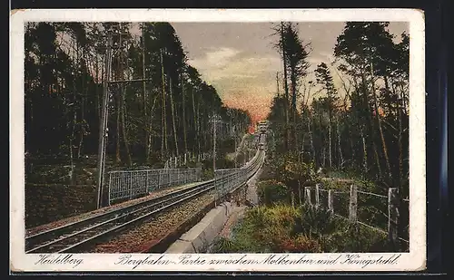 AK Heidelberg, Bergbahn-Partie zwischen Molkenkur und Königstuhl