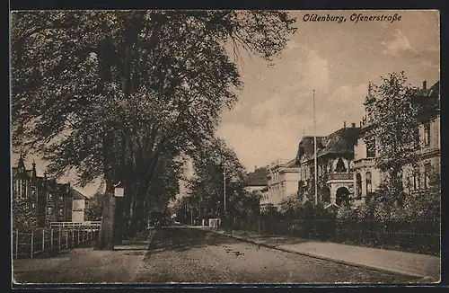 AK Oldenburg / Gr., Ofenerstrasse mit Bäumen