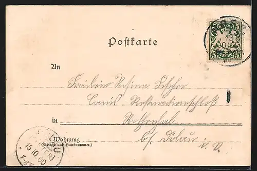 Lithographie Hof /Bayern, Ortsansicht, Unterholz-Brücke, Rathhaus