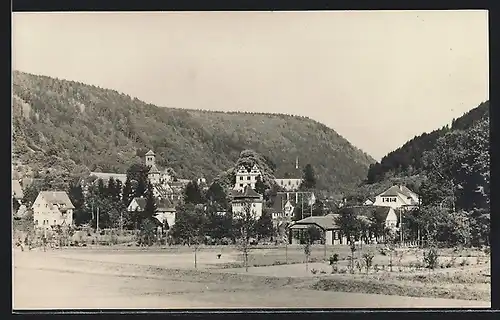 Foto-AK Hirsau, Ortsansicht mit Schloss