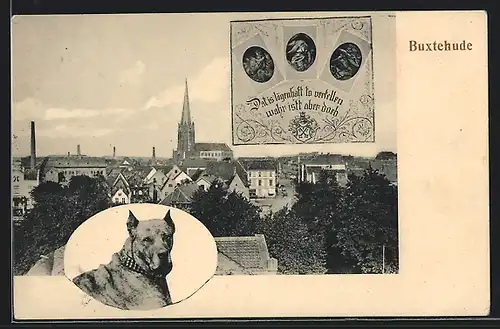 AK Buxtehude, Männer Turn Verein Buxtehude