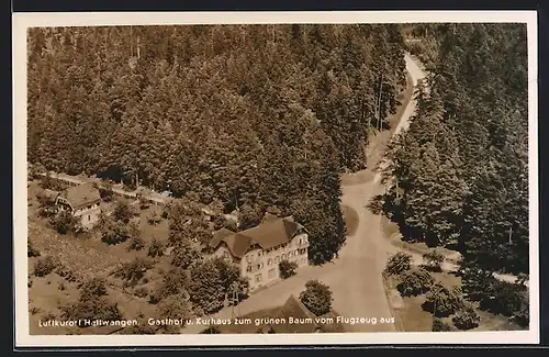 AK Hallwangen, Gasthof und Kurhaus zum grünen Baum, Fliegeraufnahme