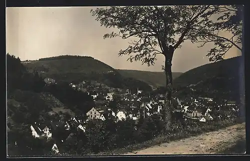 Foto-AK Calw, Teilansicht der Stadt 1920