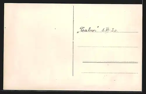 Foto-AK Calw, Teilansicht der Stadt 1920