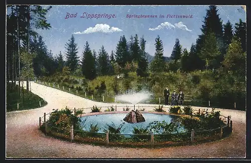 AK Bad Lippspringe, Springbrunnen im Fichtenwald mit Besuchern