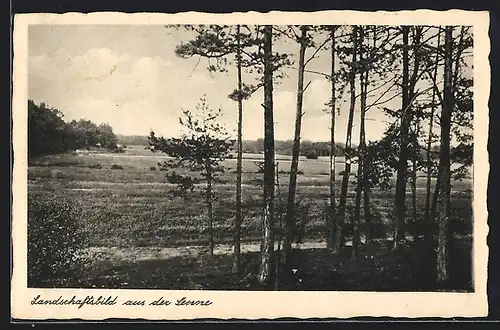 AK Senne, Blick über die Landschaft